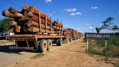 6928447659bf5b4abc3fac31