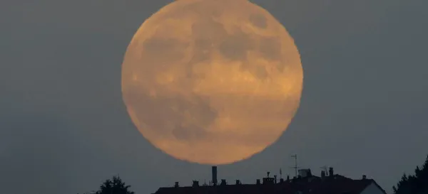 184ad2a3852fa32b47a63396f778fead (1)